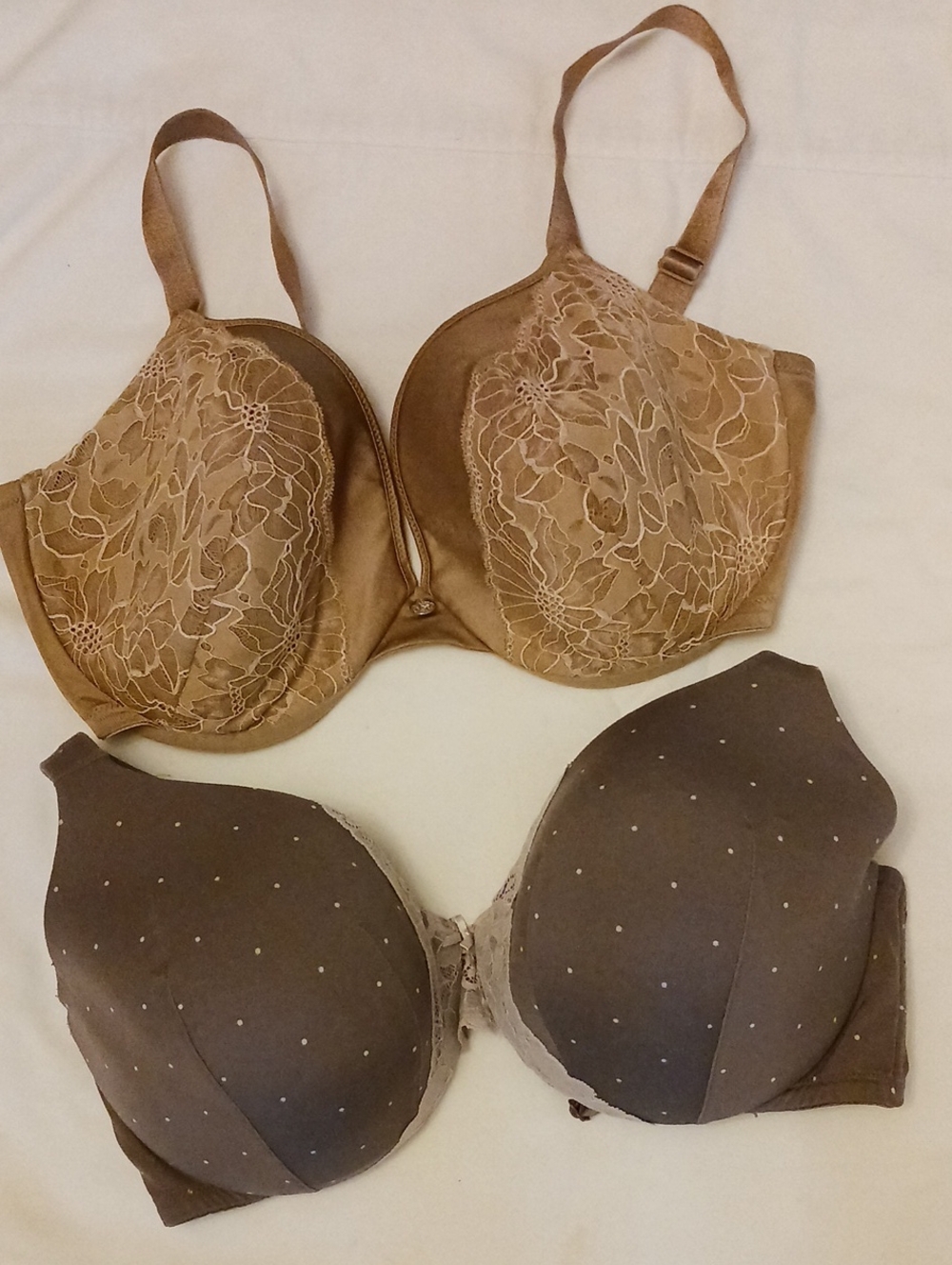 Cacique Brown Lace and Polka Dot Bra Duo